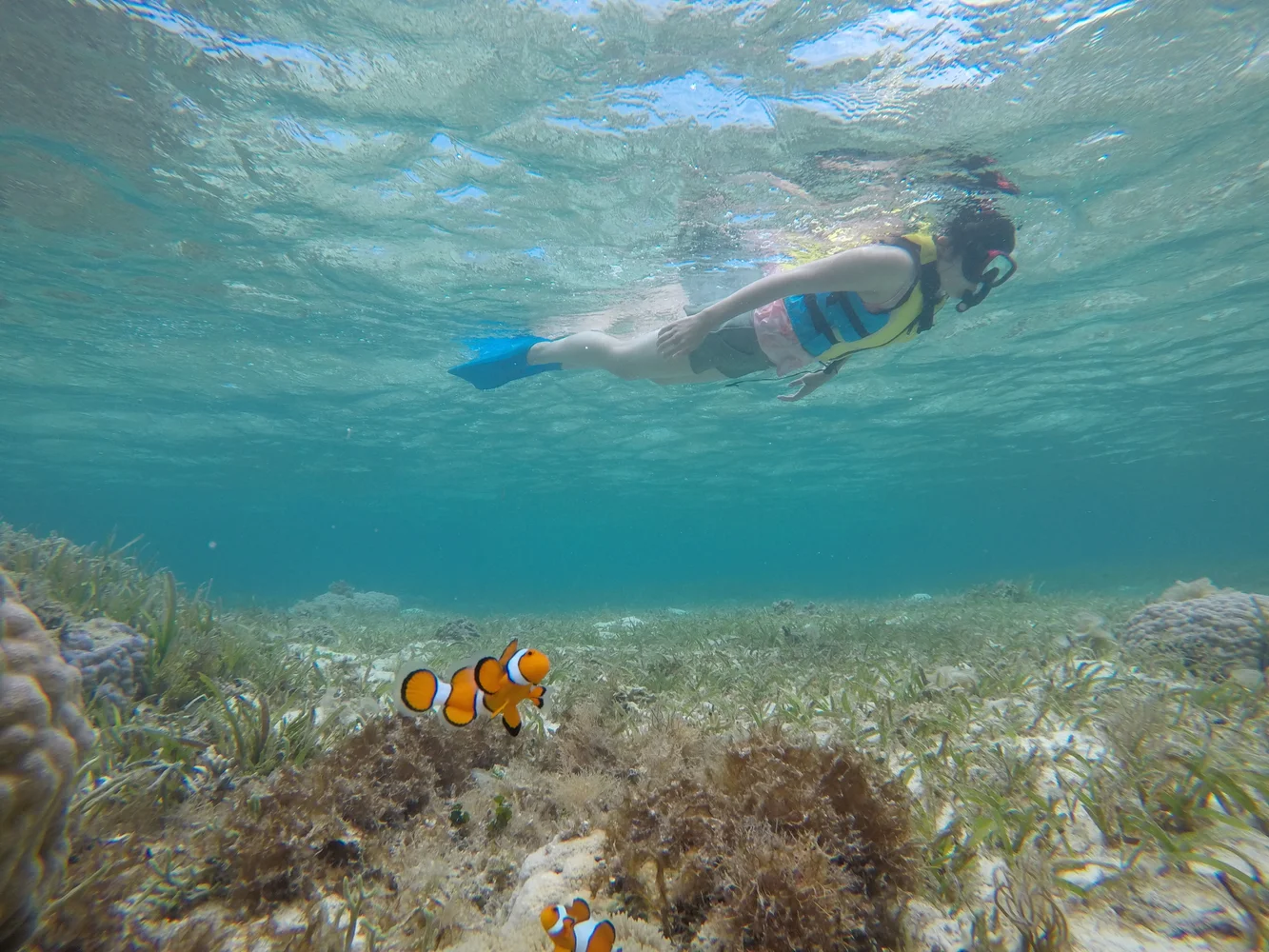 Okinawa Snorkeling & SUP — Water Sports Experience in Bise