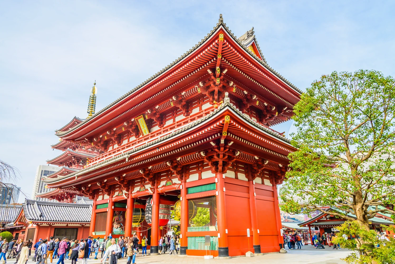 Customize and Enjoy a Private One-Day Tour in Tokyo!