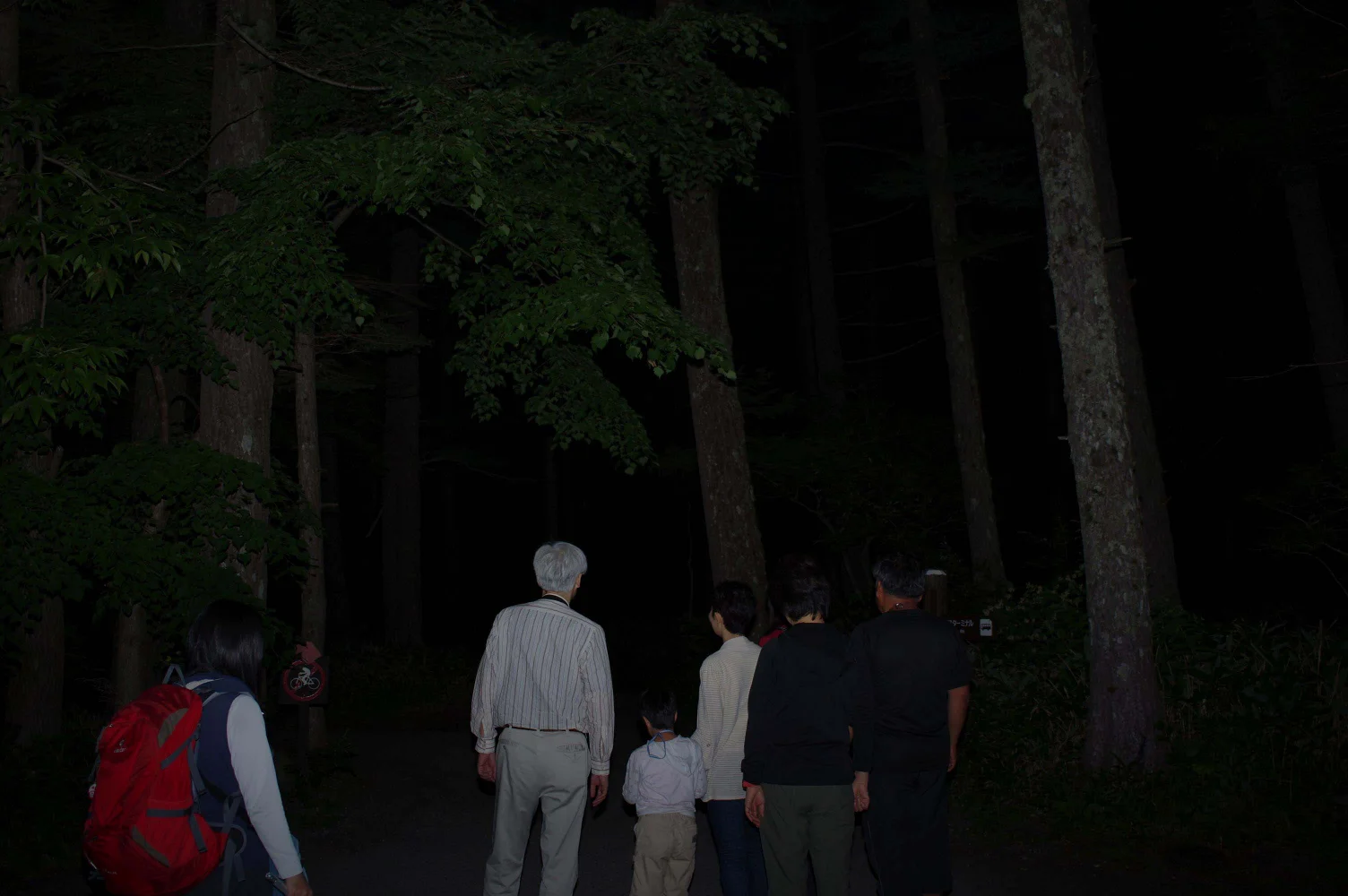 Stargazing or Nighttime Forest Walk at Kamikochi, Nagano