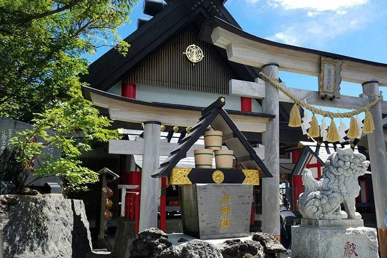 Mt. Fuji & Arakura Sengen Shrine Bus Tour from Tokyo (English Guide & Lunch)