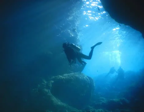 沖縄 むるぬーし 青の洞窟＆ボート体験ダイビング（1ダイブ）