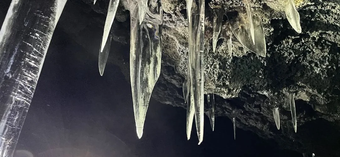 山梨 富士山麓で洞窟探検ツアー 予約＜青木ヶ原樹海と氷の洞窟／初心者OK＞