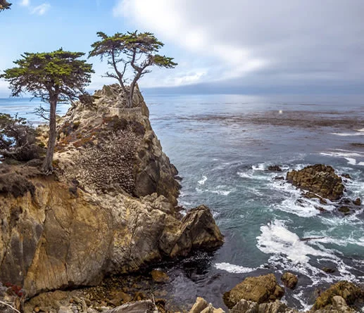 California Coast Private Car Tour: Highway One, Monterey and Big Sur