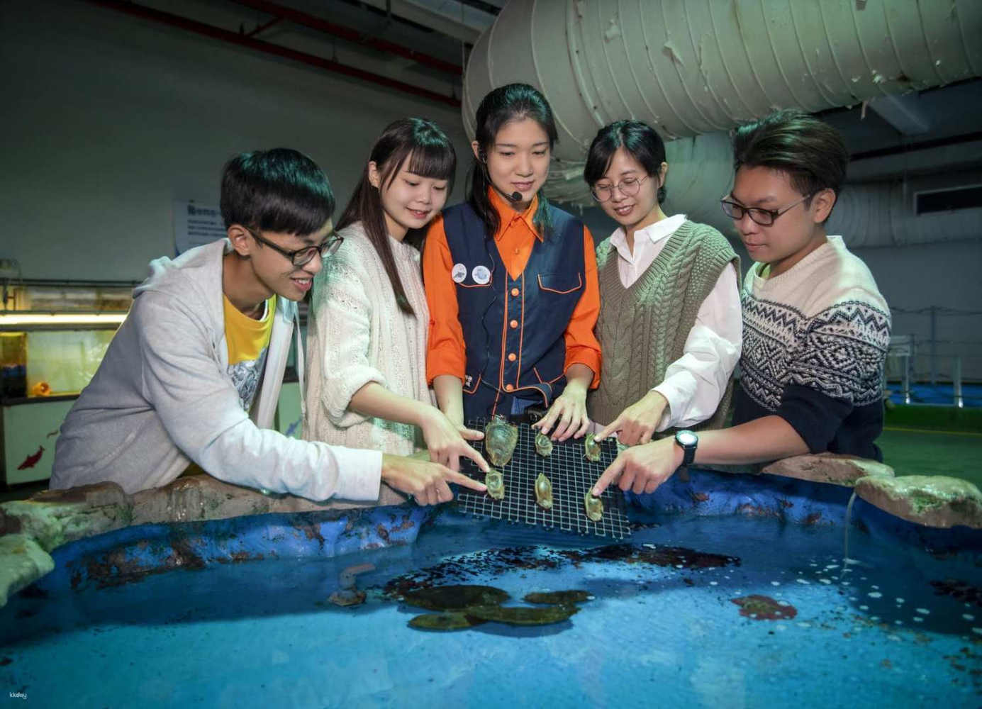 台湾 屏東県 夜の国立海洋生物博物館 台湾水資源博物館ガイドツアー＆恒春半島の潮間帯見学体験 予約＜夕食付＞