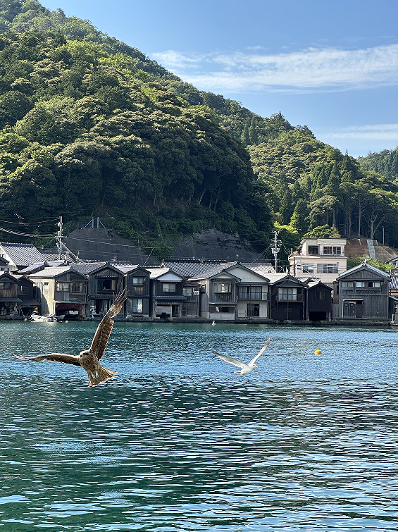 Kyoto-by-the-Sea Amanohashidate Tour from Kyoto or Osaka