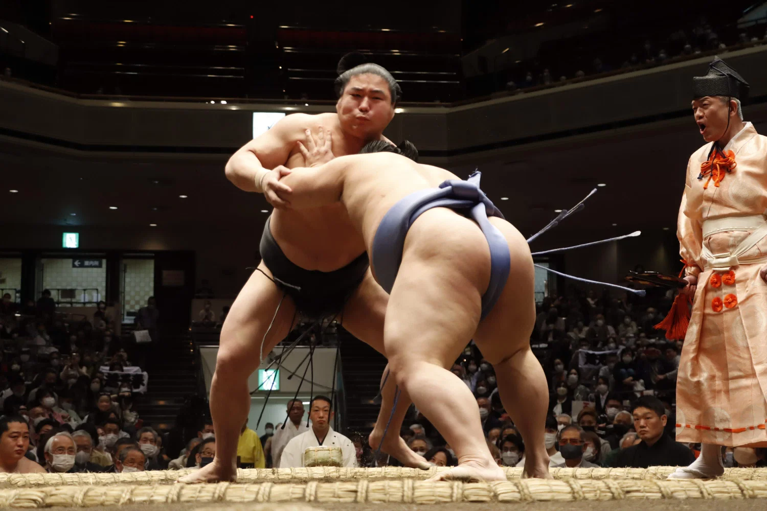 [Nov 2024] Watch Fukuoka Sumo Tournament with a Licensed Guide (A-Class Seating)