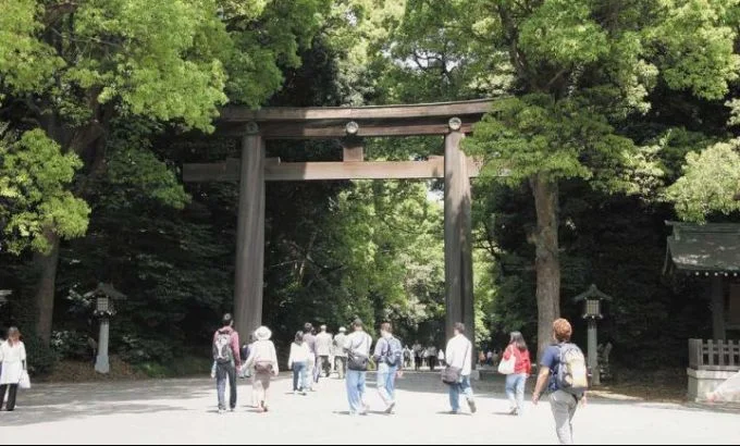 Cityrama Tokyo Morning Tour: Meiji Shrine, Asakusa & Imperial Palace by Hybrid Bus