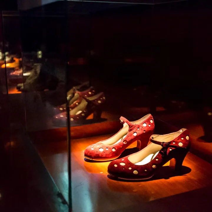 Spain Flamenco Dance Museum - Museum & Show E-ticket