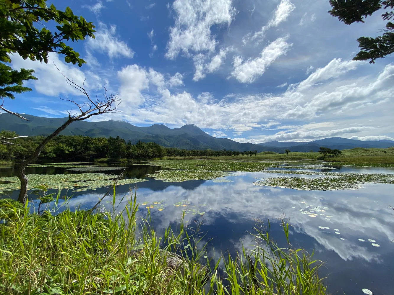 北海道 知床五湖全周を巡る半日ツアー ＜午前・午後／送迎付き＞