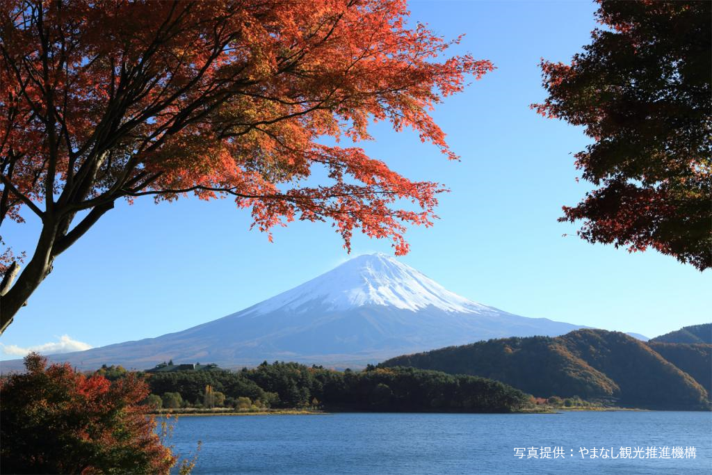 Mt. Fuji & Arakura Sengen Shrine Bus Tour from Tokyo (English Guide & Lunch)