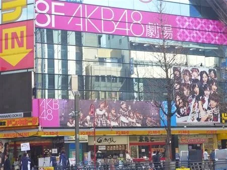 Akihabara Tour: Anime, Manga & Cosplay Customized Tour