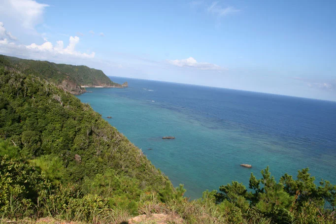沖縄 名護市 ジュゴンの見える丘ガイドツアー＜ファミリーにおすすめ＞