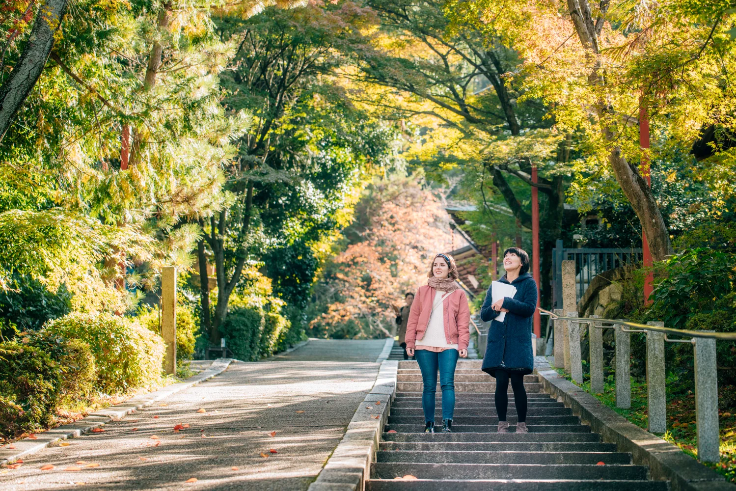 Kyoto Walking Tour—Guided Morning Tour