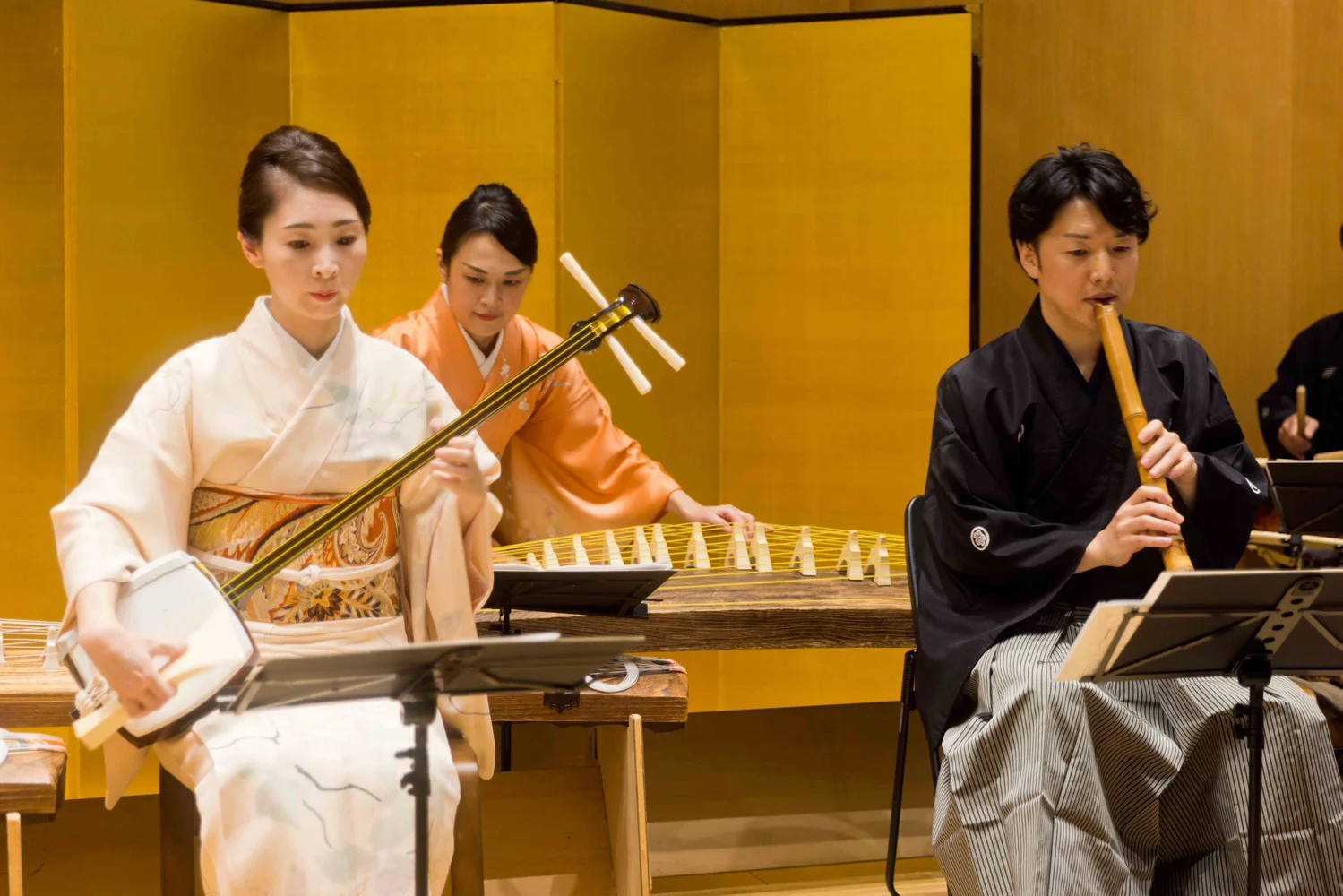 Traditional Japanese Music ZAKURO SHOW in Tokyo