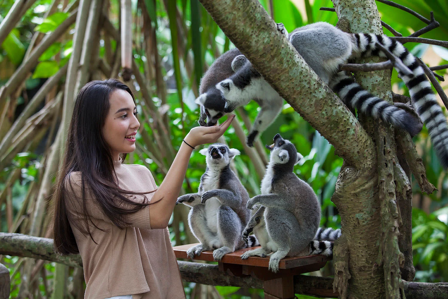 Bali Zoo Park Tickets for International Visitors