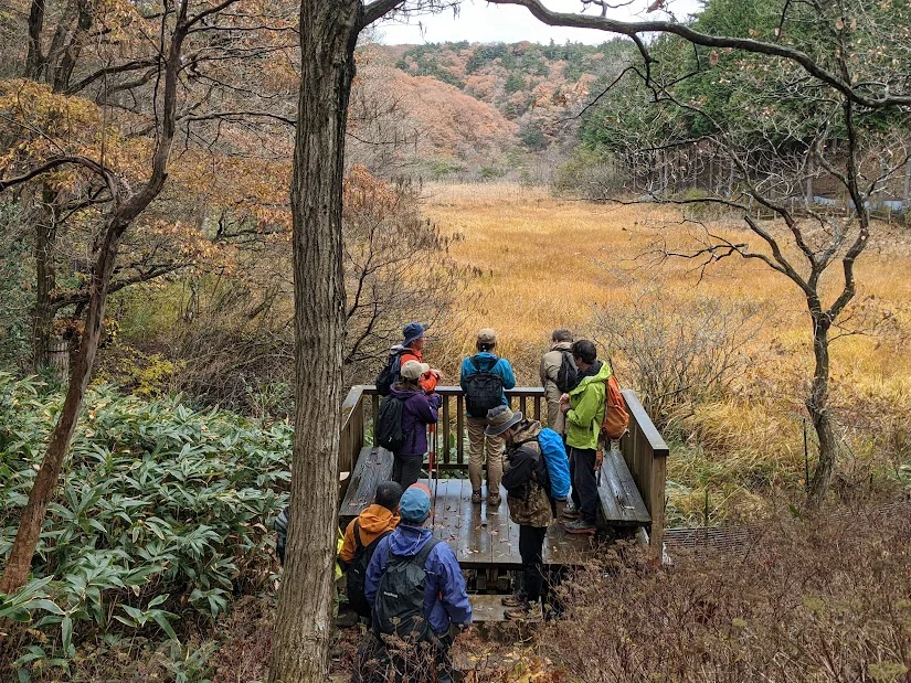 Ecotourism Adventure  tour in Shiga Nagahama: Exploring Life and Conservation around Lake Biwa