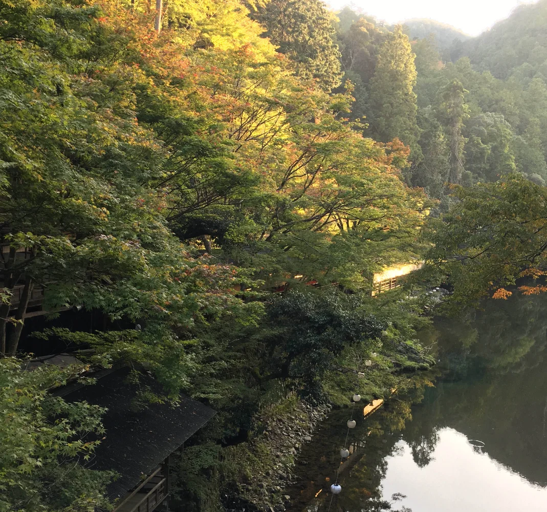 Takao Kyoto Tour—Jingoji & Momijiya Honkan Takao Sanso