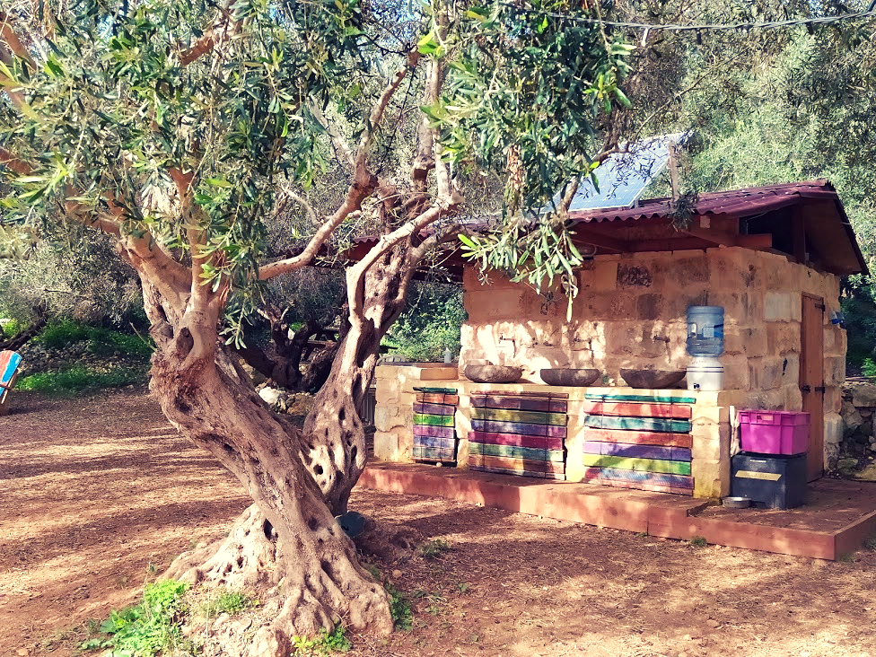 Malta Eco-Friendly Farm Experience: Paint at a Local Farm