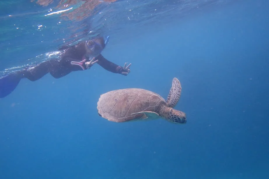 Ishigaki Island Snorkeling Experience (Half Day/Full Day)