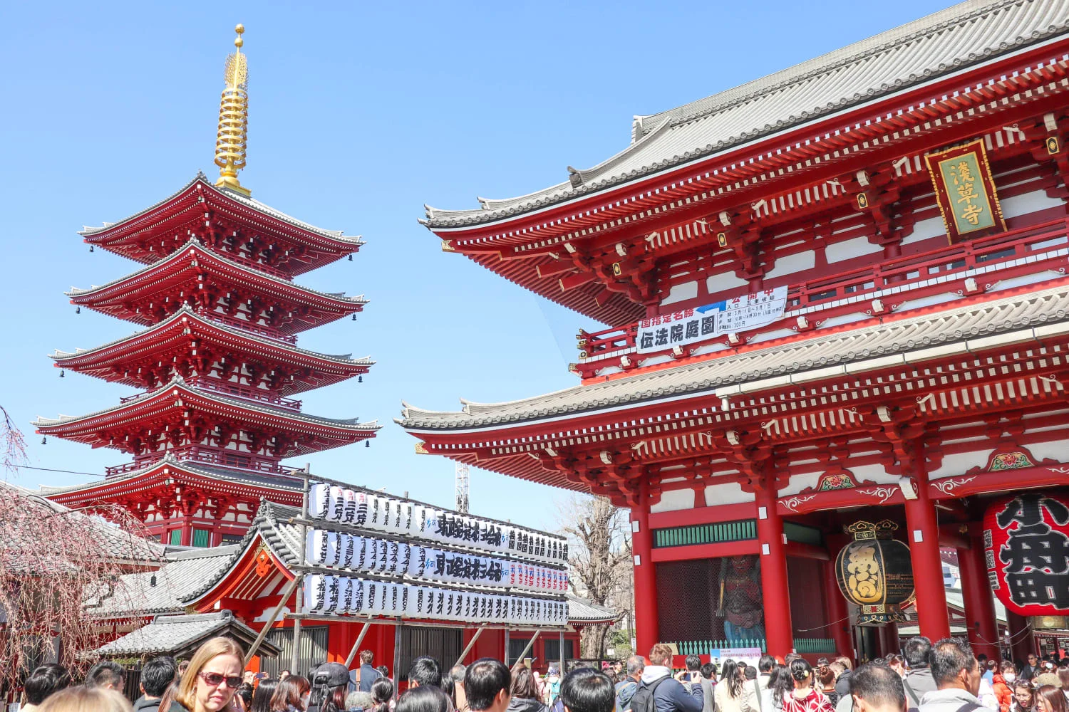 Book an Asakusa Cultural Walking Tour with Matcha-Making Experience