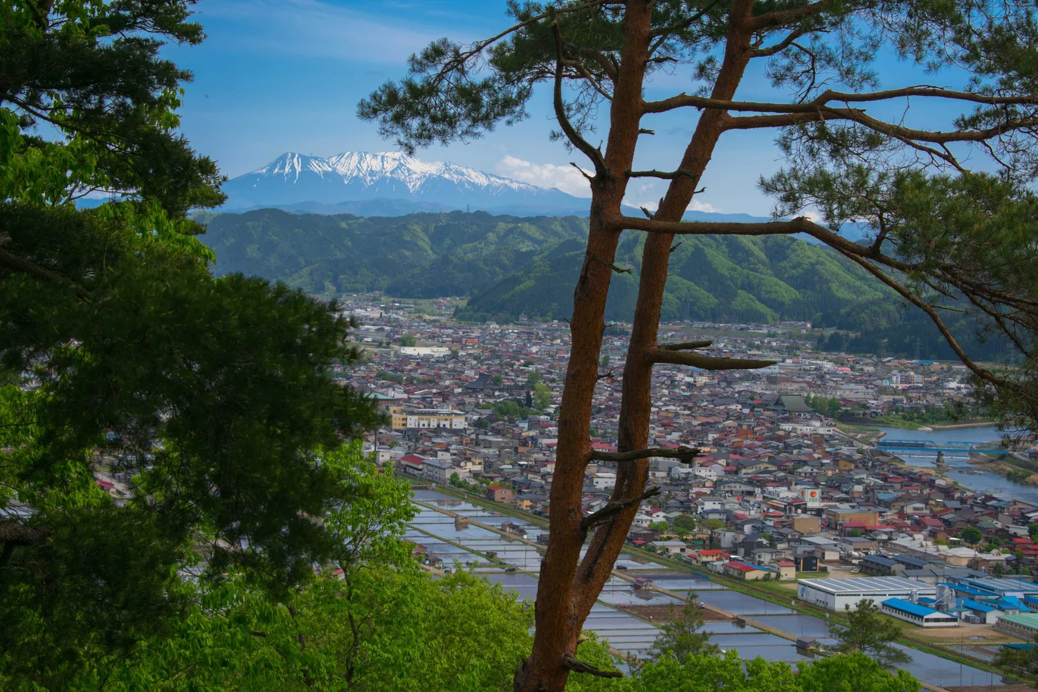 Hida-Furukawa & Mt. Anbou Ebike & Hike Private Tour in Gifu