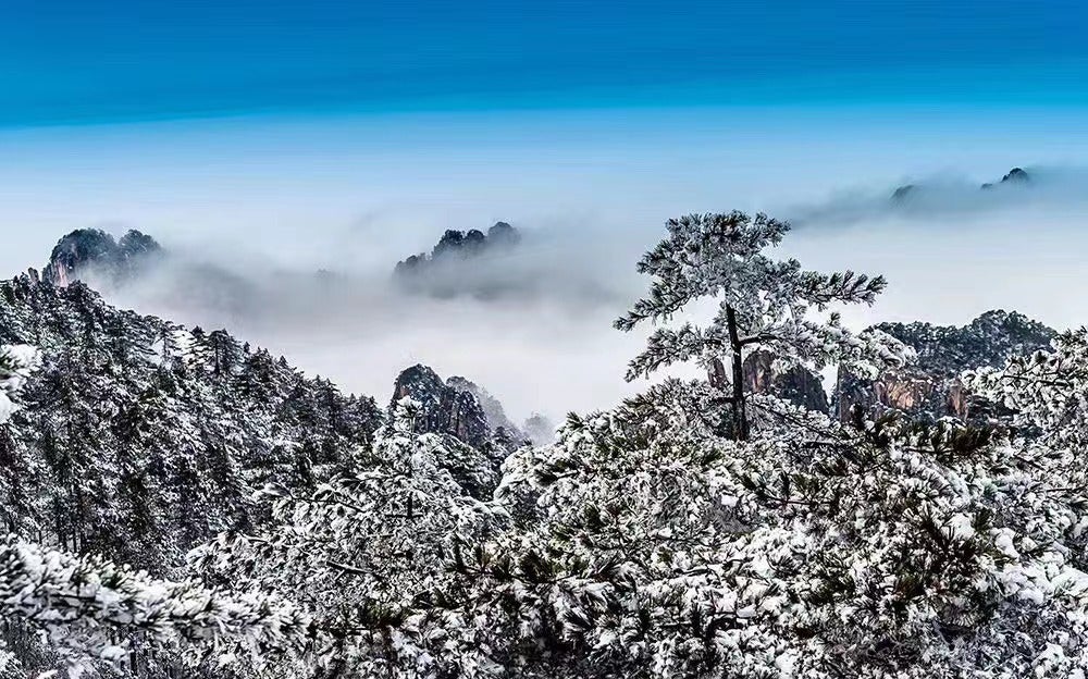 中国 上海発【世界遺産】黄山・宏村・屯渓老街二日間の旅 予約＜食事付き／日本語ガイド／黄山北駅送迎付き＞【楽天トラベル 観光体験】