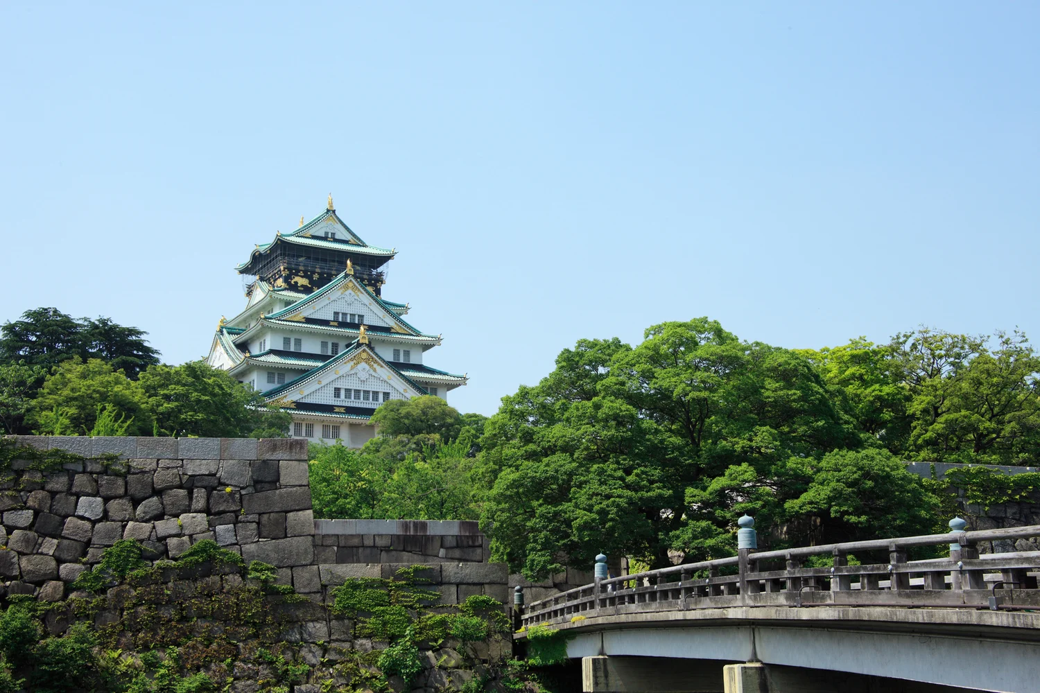 Private Osaka Castle Walking & Dotonbori Food Tour!