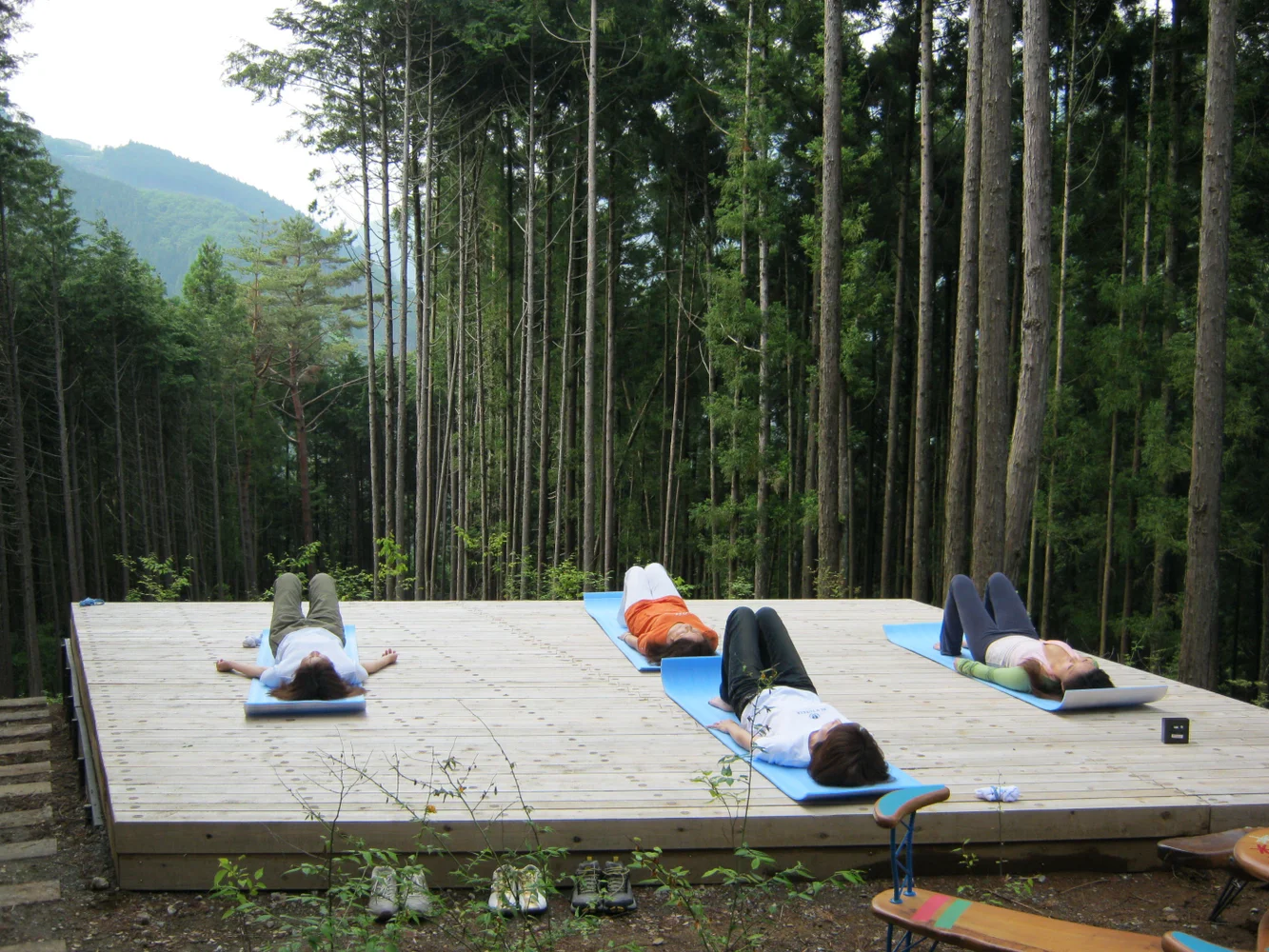 Okutama Forest Therapy Tour and Healthy Nature Walk