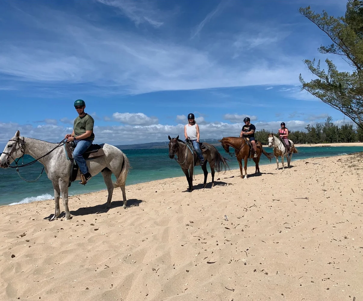 ハワイ オアフ島 海辺で乗馬体験＋ノースショア観光1日ツアー＜少人数制／送迎付き＞