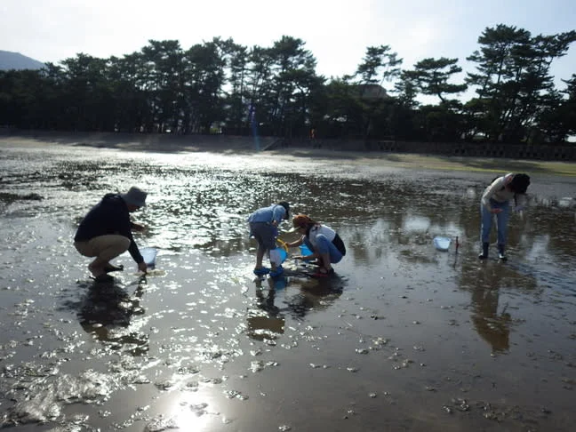 鹿児島 錦江湾最大の干潟 重富海岸で野生の生物観察ツアー
