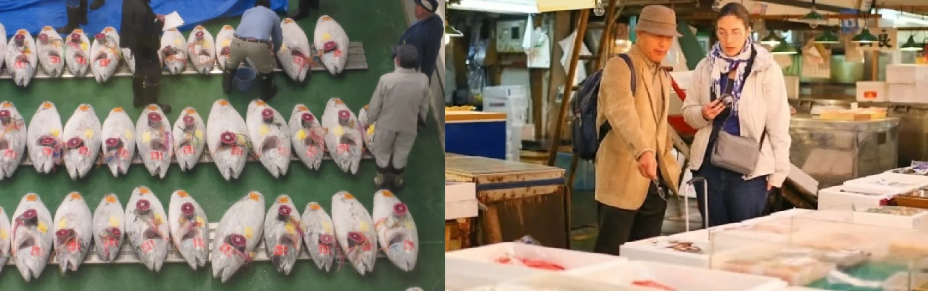 Toyosu Tuna Auction and Tsukiji Outer Market Private Tour