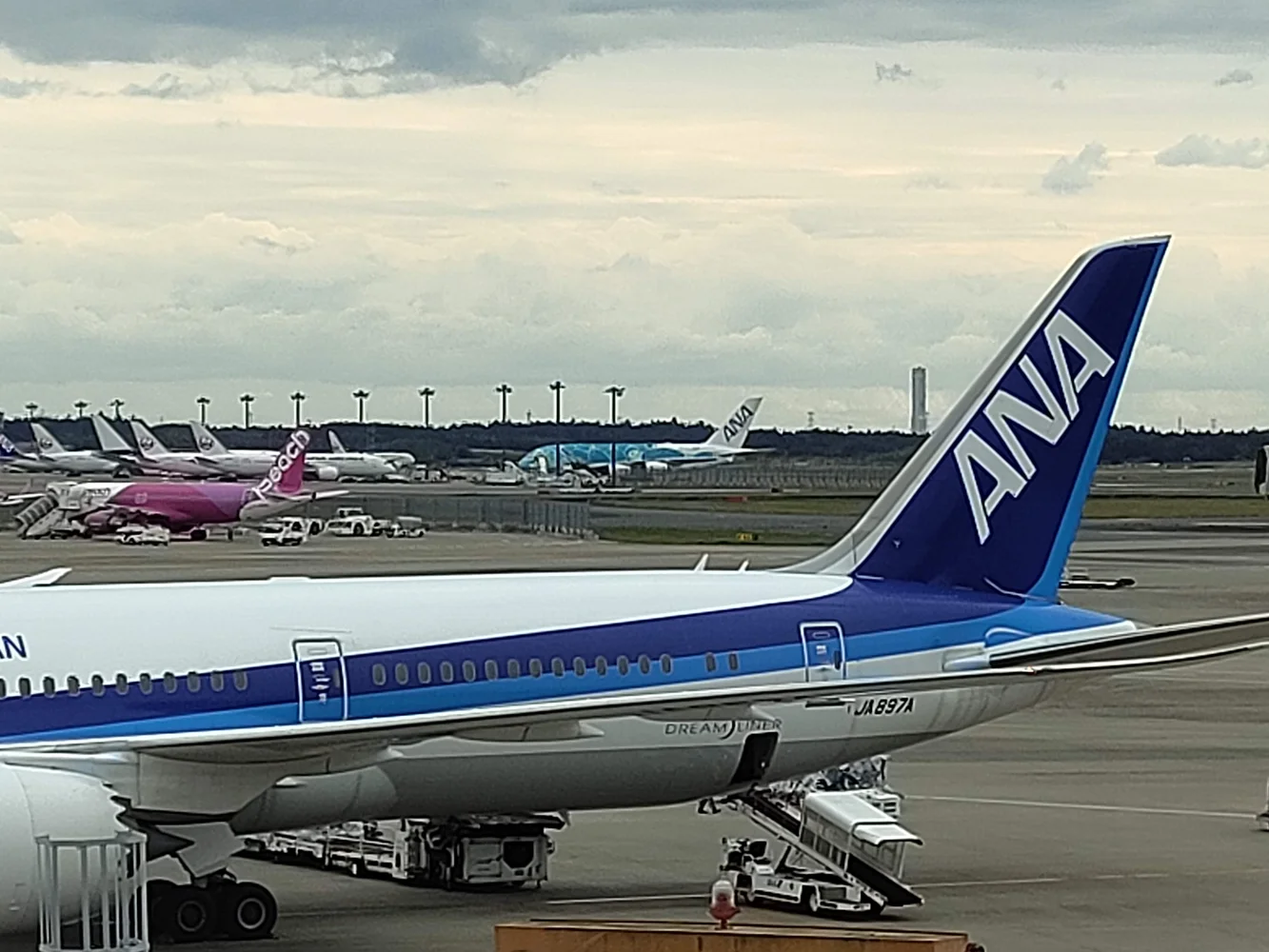 【オンライン体験】成田空港で遊ぼう！各ターミナルと周辺駅ガイドツアー
