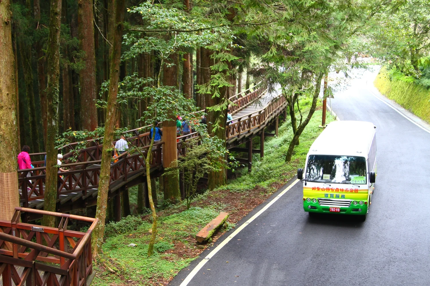 台湾 阿里山国家森林遊楽区入場Eチケット＜電動遊園車・奮起湖鉄道弁当付き＞