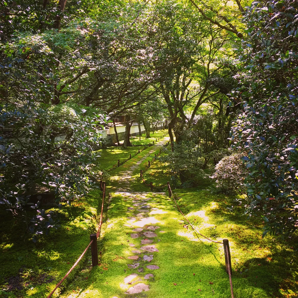 A garden path in Kyoto's Saihō-ji (Moss Temple)