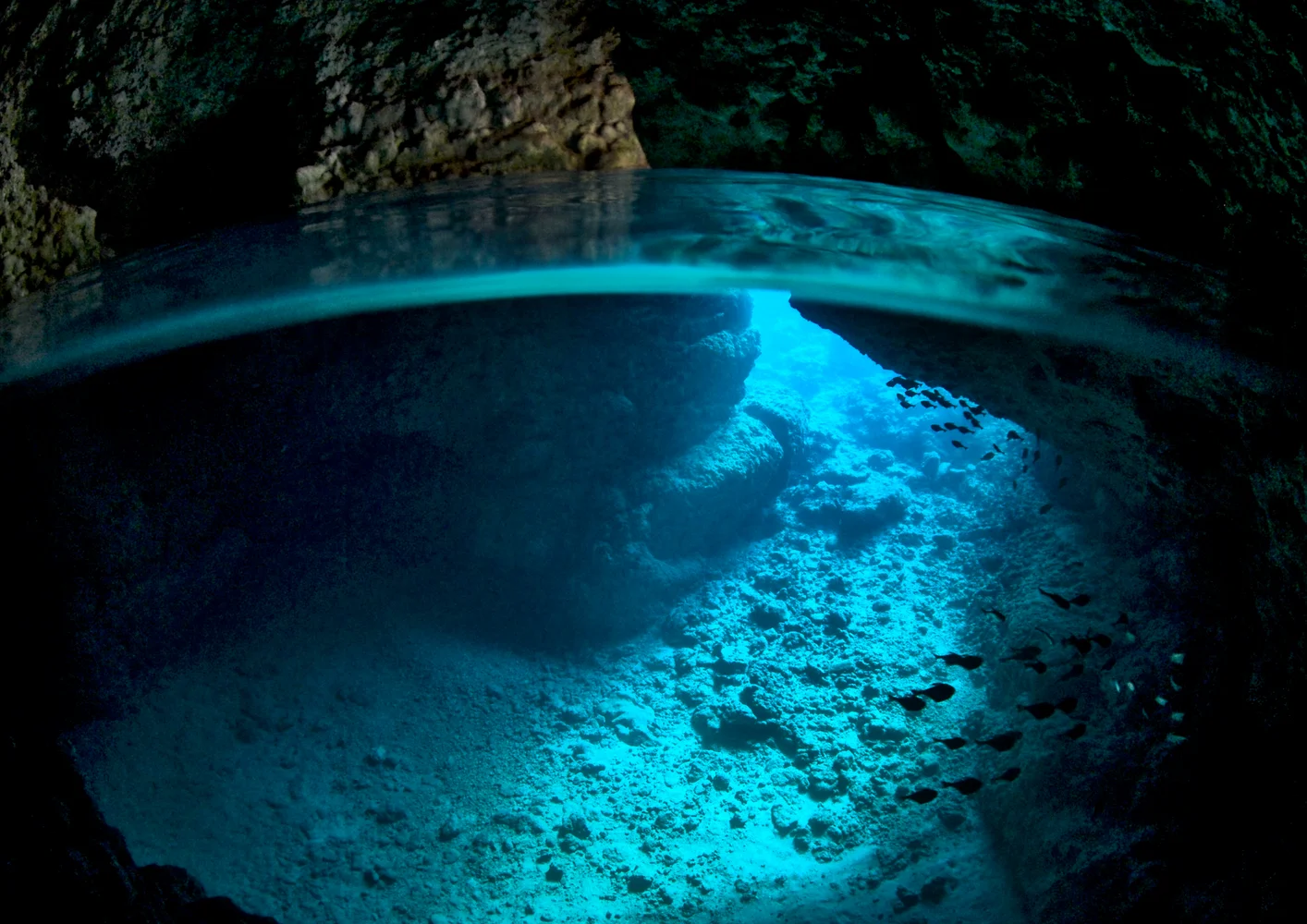 沖縄 青の洞窟シュノーケリング ボートツアー＜貸切／写真データ付＞