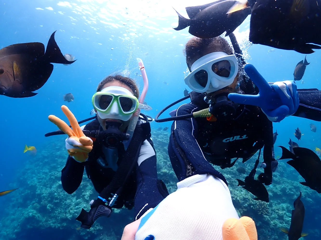 Okinawa Blue Cave Diving 29% OFF! vs. Direct Booking & Onsite Payment