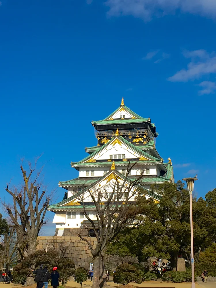 Private Osaka Castle Walking & Dotonbori Food Tour!