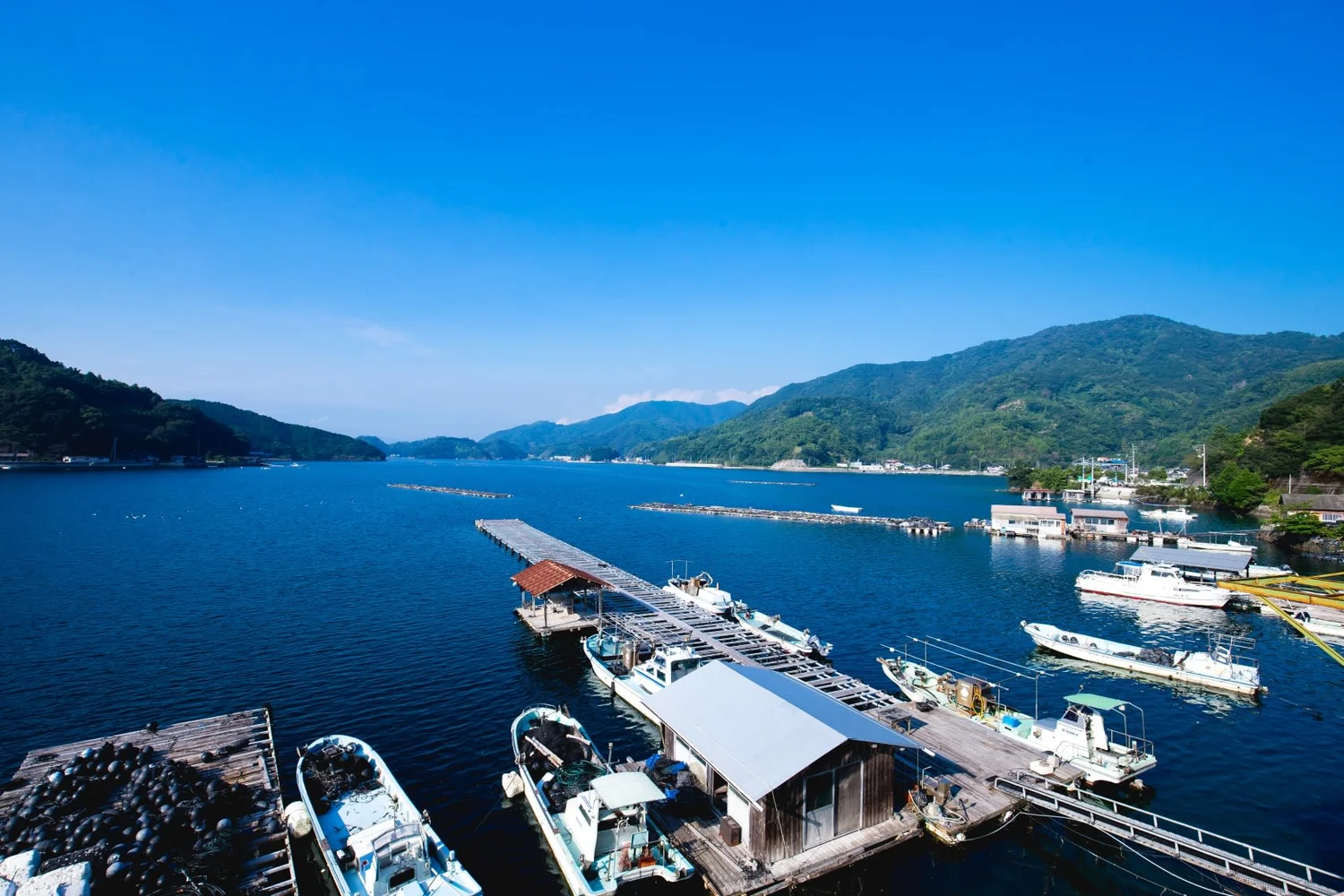 Book Oyster Pearl Farming Experience in Japan from Uwajima Oysters (Ehime, Shikoku)