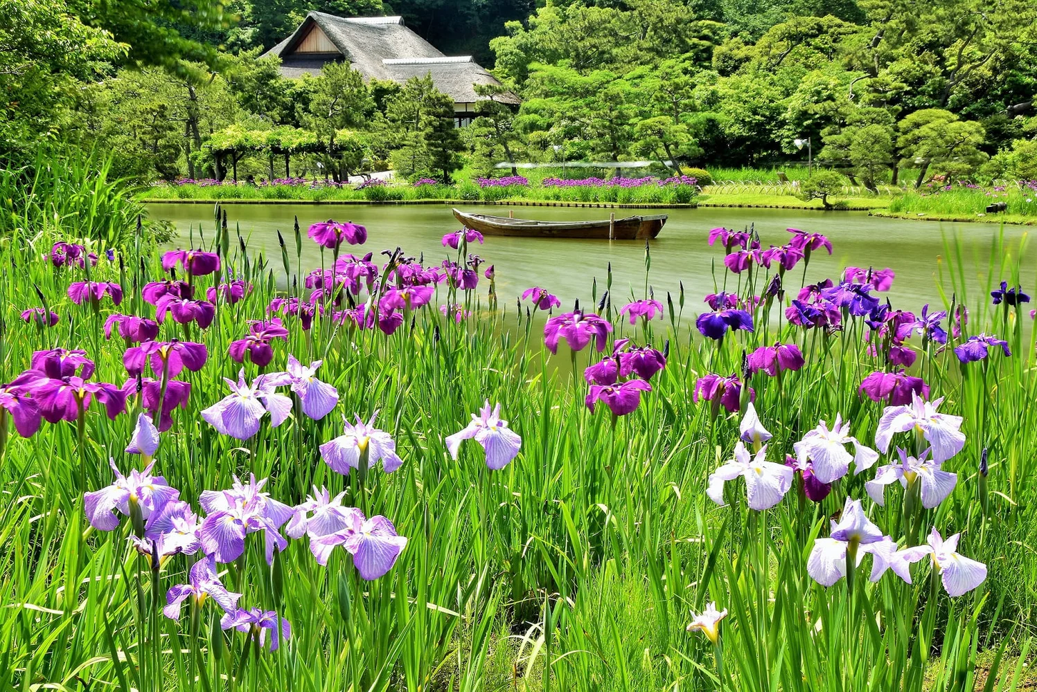 神奈川 横浜 三溪園 入園Eチケット 予約