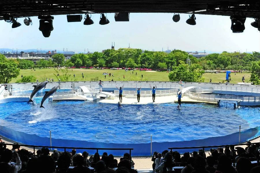 Kyoto Aquarium Skip-the-Line E-Tickets