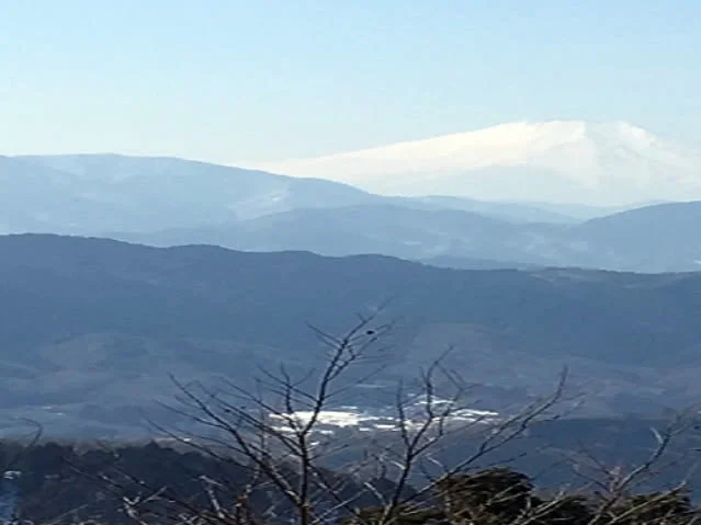 Enjoy a Refreshing Guided Hike Up Mt. Takao