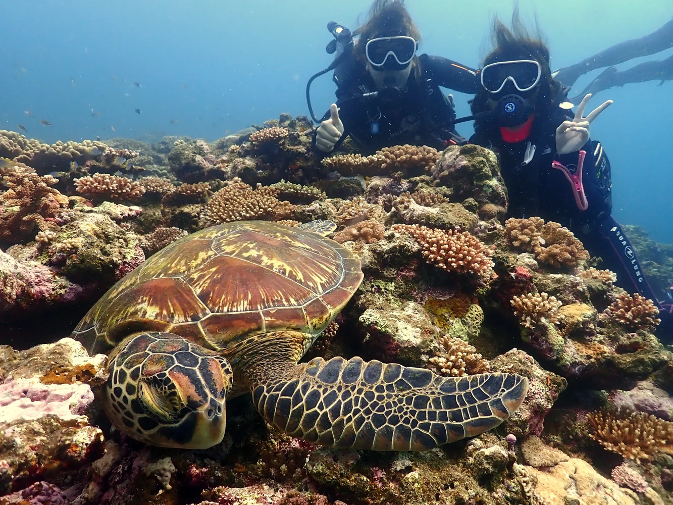 Try an Introduction Diving Course in Ishigaki Island