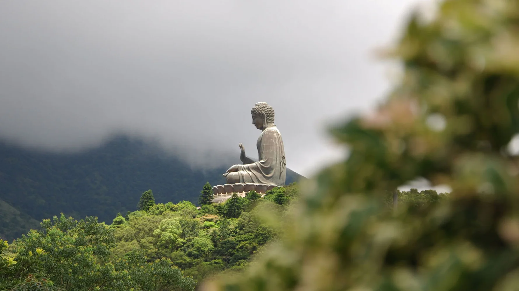 Lantau Island Private Full-Day Tour With Big Buddha & Tai O Village