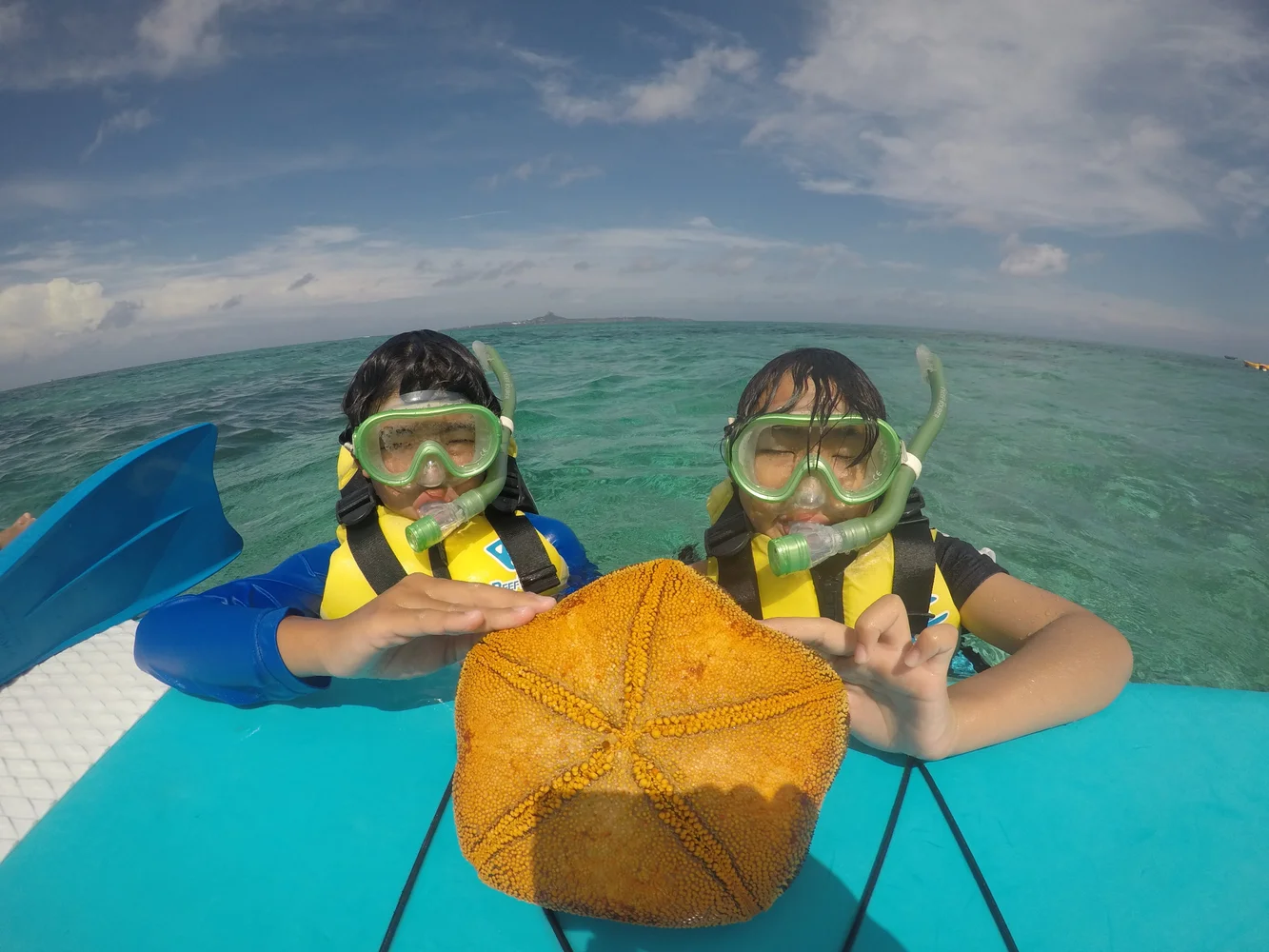 Snorkeling & Sea Kayaking Okinawa — Private Tour of Bise