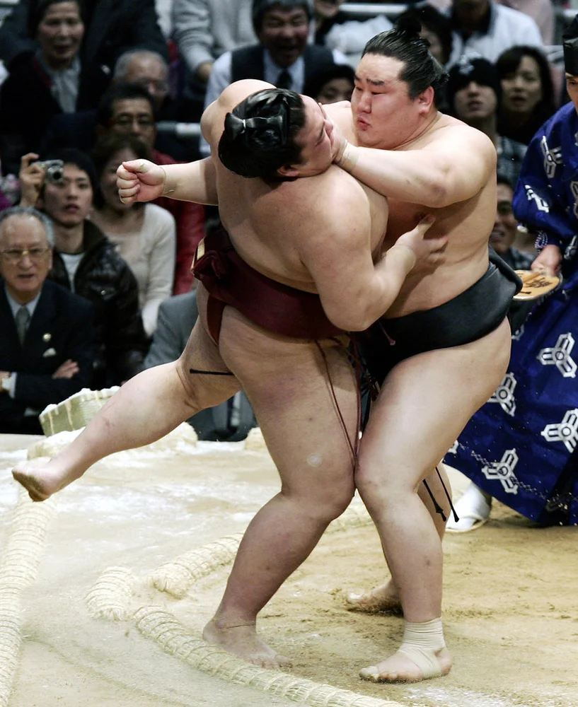 Behind-the-Scenes Sumo Experience & Tonkatsu Lunch