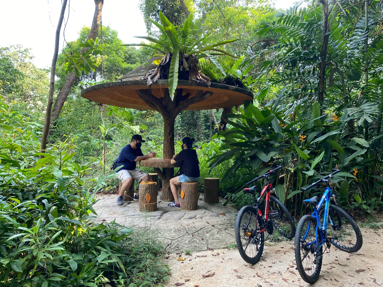 シンガポール セントーサ島 自転車・キックボード レンタル