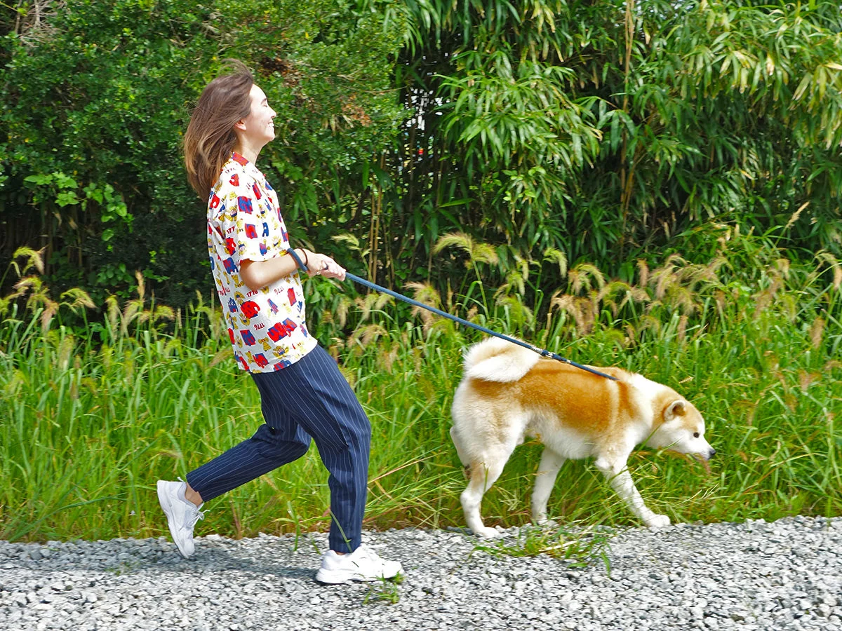 Akita Dog Playdate in Noshiro City, Akita Prefecture