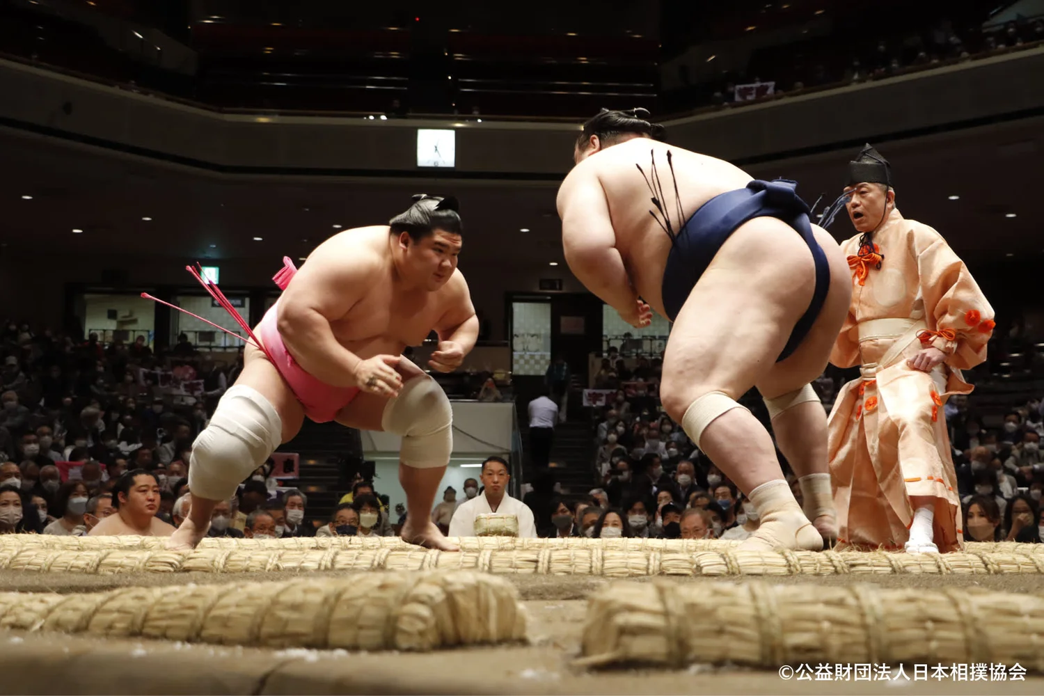 [Sep 8–22] Watch Tokyo Sumo Tournament with a Local Expert