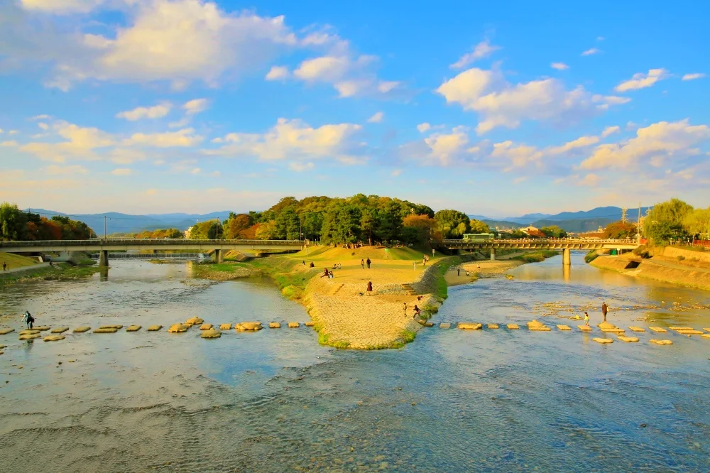 Book a Kyoto Spring Evening Cherry Blossom Food Tour [Sakura 2025]