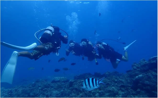 沖縄 完全プライベート！青の洞窟で体験ダイビング＜水中写真／熱帯魚の餌付け体験付き＞
